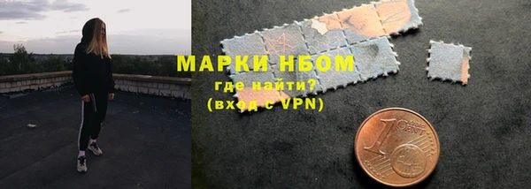 индика Нефтекумск