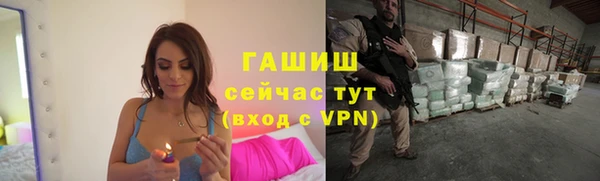 индика Нефтекумск