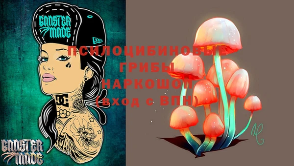 круглые Абаза