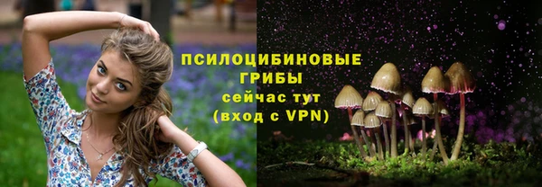 круглые Абаза