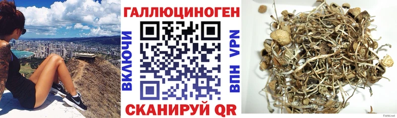 Псилоцибиновые грибы Cubensis  Почеп 